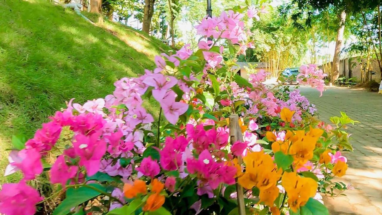 Bougainvillea Retreat & Spa Kaharpara 外观 照片