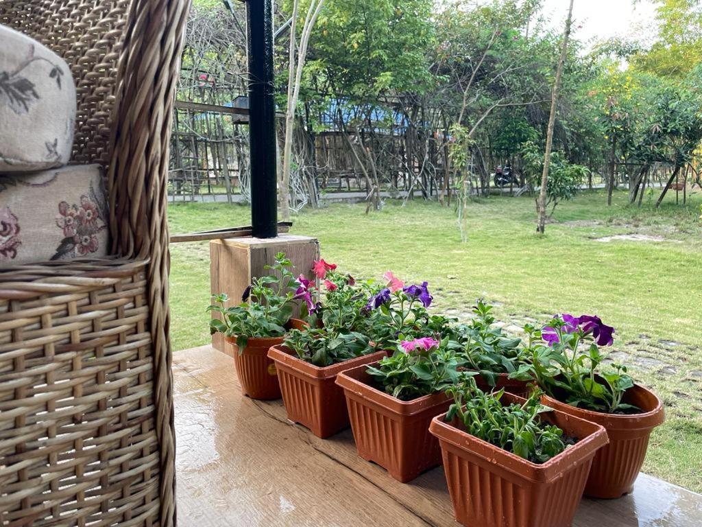Bougainvillea Retreat & Spa Kaharpara 外观 照片
